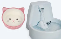 Voer/drinkbakken Kat