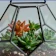 Terrarium